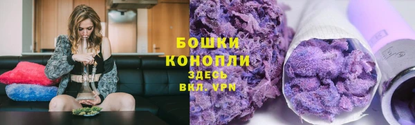 прущие грибы Вяземский