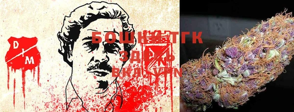 прущие грибы Вяземский